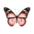 thumbnail image 3 of Ambesonne Pale Pink Duvet Cover Set, Butterfly Valentines, 2-Calking, Dark Brown White, 3 of 3