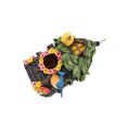 thumbnail image 2 of Advancent Casa de pájaros artificiales para exteriores, casa colgante decorativa para pájaros, lugar de descanso para pájaros de resina con rejillas de Artesanía Advancent HA019933-00, 2 of 6