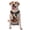 With Accessories, variant on Vsdgher Vintage Colorful Flower French Bulldog Pattern Dog Harness,No Pull Pet Harness with Soft Padded Handle,Adjustable Reflective Vest with 2 Buckles,4 Slide Buckles,S-XL Small