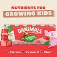 thumbnail image 6 of Danimals Smoothie Strawberry and Cotton Candy Low Fat Dairy Drink Smoothie Bottles Multi-Pack, 3.1 fl oz, 12 Count​, 6 of 16
