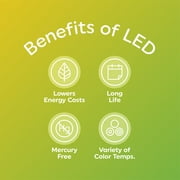 Great Value A19 LED Light Bulbs, 60 Watt Equivalent, Daylight, General Purpose, 9 Year, Medium Base, 4 Pack