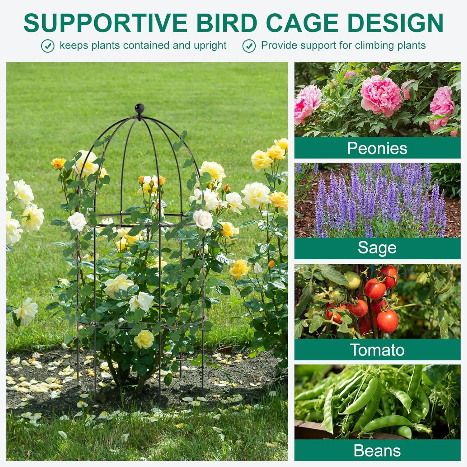 ABORON 3 Pack Garden Trellis for Climbing Plants, 15.7" x 31.5" Metal Rustproof Tomato Cage, Outdoor Indoor Flowers Potted Obelisk Trellis for Cucumber Vine Peony Lily Rose Plant Support