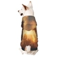 thumbnail image 1 of Balery Castle Cool Fire Dragon Sudadera con Capucha para Perros Pequeños – Ropa para Mascotas, Disfraz para Perros y Gatos, Ideal para Fiestas y Cosplay-Large, 1 of 7