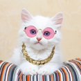 thumbnail image 2 of 7 Piece Cool Cat Dog Costume Set Include Adjustable Gold Pet Dog Chain and Funny Cute Cat Small Dog Sunglasses Retro Pet Sunglasses for Cat Puppy Smal, 2 of 5
