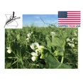 thumbnail image 5 of 2lbs Austrian Winter Pea Seeds Peas Open Pollinated Cover Crop Forage Deer Food Plot 2 Pounds Seed By JL Missouri Parts, 5 of 8
