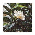 thumbnail image 1 of Gardenia in Pointillism - Canvas, 1 of 10