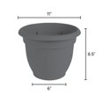 thumbnail image 4 of Bloem Ariana Self Watering Plastic Planter 10" Classic Blue, 4 of 9