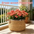 thumbnail image 6 of Woven Plant Basket Seagrass Planter Pot Cover with Handles,26x28cm Handmade Natural Straw Container for Indoor Potted Plants,Rustic Boho Decor for Living Room Office Home Garden, 6 of 7