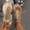 Gold, variant on Women's Flat Flip Flop Sandals, Open Toe Summer Sequined Soft Sole Casual Walking Slide Shoes Black 9