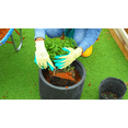 thumbnail image 3 of Expert Gardener Organics 2.25 cu ft Expanding Soil Concentrated Potting Mix, 3 of 6