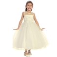 thumbnail image 1 of 5644 Ivoire Illusion Encolure avec Dentelle Robe d'Embellissement 2, 1 of 1