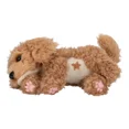 thumbnail image 4 of Little Live Pets My Really Real Puppy Curley the Cavoodle Electronic Pet, 4 of 7