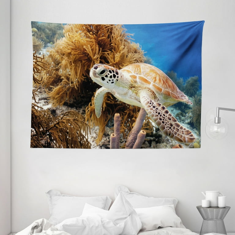Turtle Tapestry Coral Reef and Sea Turtle Close Up Photo Bonaire