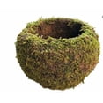 thumbnail image 2 of 6 Inch Decorative Planter With 3 Inch Inner Pot For Bonsai Pots For Home Garden Decor, 2 of 8
