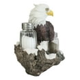 thumbnail image 3 of American Bald Eagle By Tree Branch Glass Salt & Pepper Shakers Holder Figurine, 3 of 3