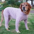 thumbnail image 2 of vnanda Easy to Put on Dog Clothes Cozy Winter Big Dog Clothes with Full Wrap Elbow Pads Soft Warm Dog Apparel for Cold Weather, 2 of 8