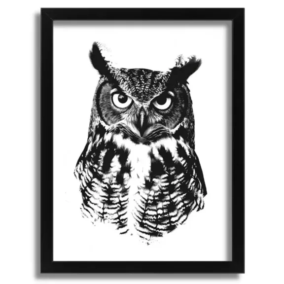 Kna Prints - Striking Owl Illustration - Monochrome Bird Art Black And White Owl Wall Art For Home Decor, Living Room, Bedroom, Office, UNFRAMED-8x12