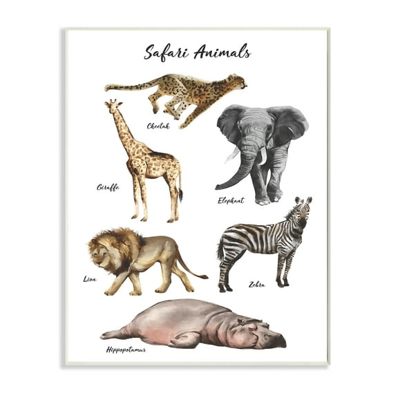 Stupell Industries Safari Animal Chart Playful Watercolor Illustrations Wall Plaque, 13 x 19, Design by Ziwei Li
