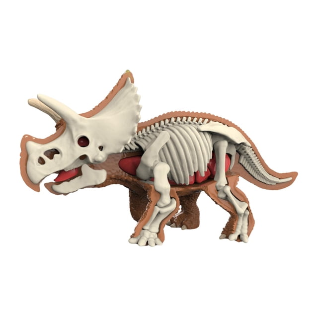 jiaping Animal Body Model Classroom Body Organ Parts for Study Tool Ages 8+ Children 3102