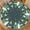 Dark Green, variant on Summer Round Tablecloth 36-40 inch, Ocean Coastal Fitted Table Cloth Elastic Edge, Beach Table Cover Coral Seasonal Waterproof Washable, Picnic Camping Dining Party Decor
