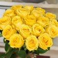 thumbnail image 1 of 10pcs Yellow Roses Artificial Flowers. Long Individual Stem Real Touch Rose Faux, 1 of 1