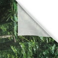 thumbnail image 3 of Ambesonne Plant Kitchen Curtains, Green Untouched Nature, 55"x39", Forest Green, 3 of 3