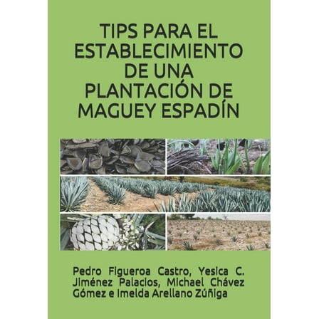 Tips Para El Establecimiento de Una Plantaciónde Maguey Espadín (Paperback)