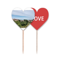 thumbnail image 1 of País Casa de pastoral Palillos de dientes bandera etiqueta de amor selección de pastelitos, 1 of 4