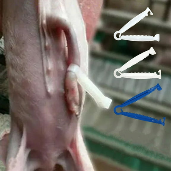 SPRING PARK 20Pcs Umbilical Cord Clamps, Disposable Pig Umbilical Cord Clips Whelping Kit for Piggy, Home Birth, Obstetrical Kit, Midwife Emergency Birth Supply