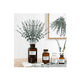 thumbnail image 5 of 24 Piezas Tallos De Eucalipto BELUG Decoración Hojas Artificiales, 5 of 5