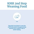 Pet Ag KMR 2nd Step Weaning Formula for Kittens