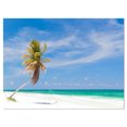 thumbnail image 2 of Palmier Cocotier Solitaire à la Plage - Impression Photo sur Toile Bord de Mer, 2 of 3