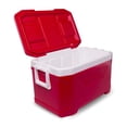 thumbnail image 4 of Igloo Red Profile II 50 Qt Chest Cooler, 4 of 5
