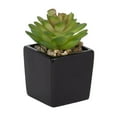 thumbnail image 1 of Kibo Mini Faux Succulent Black Pot, 1 of 4