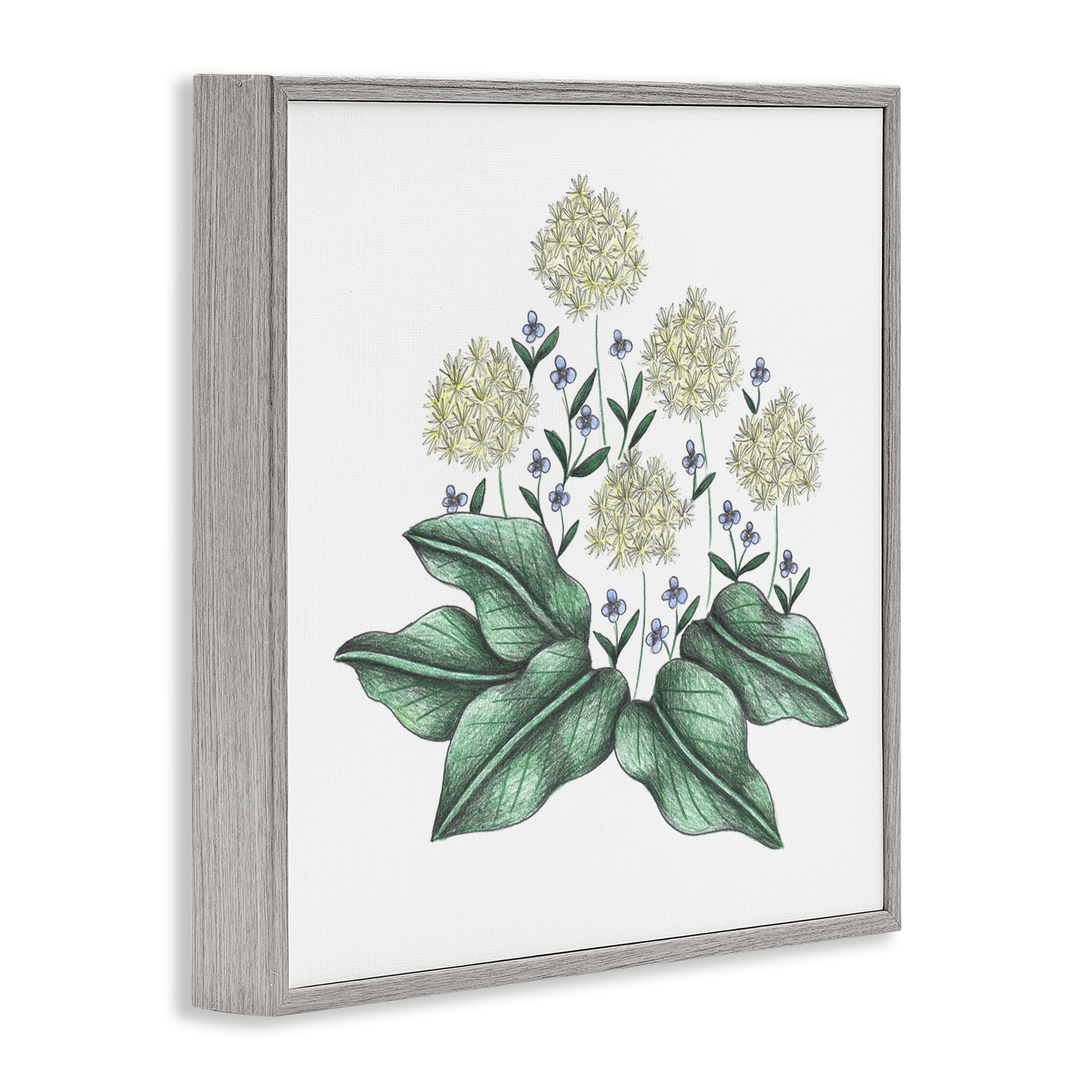 Hello Wildflower Vintage Sketch Gray Framed Giclee Art, design by Cecilia Battaini