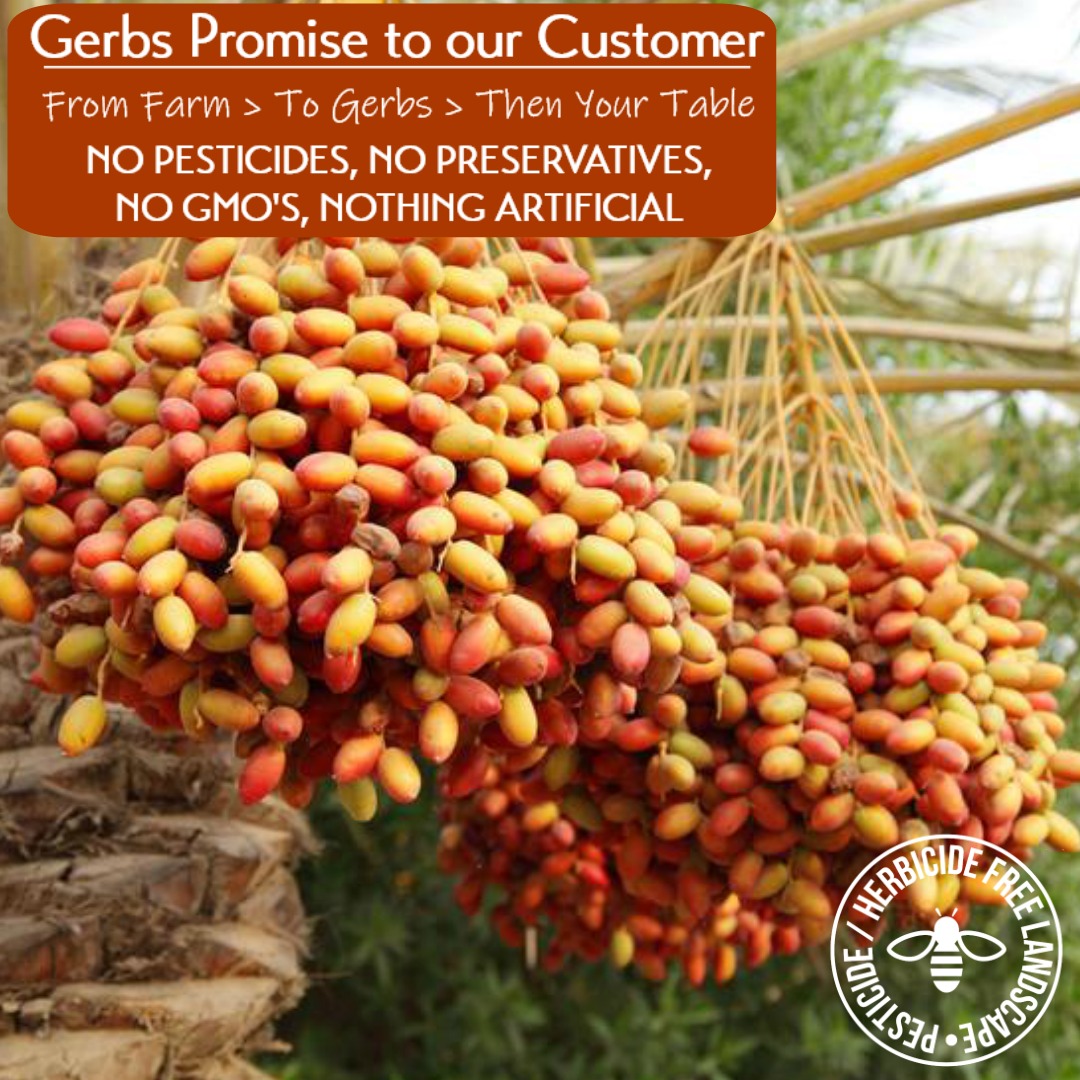 Gerbs Dried Araya Dates 2 lbs | Unsulfured, Pitted, Resealable Bag | Naturally Sweet & Fiber-Rich | Top 14 Allergen-Free