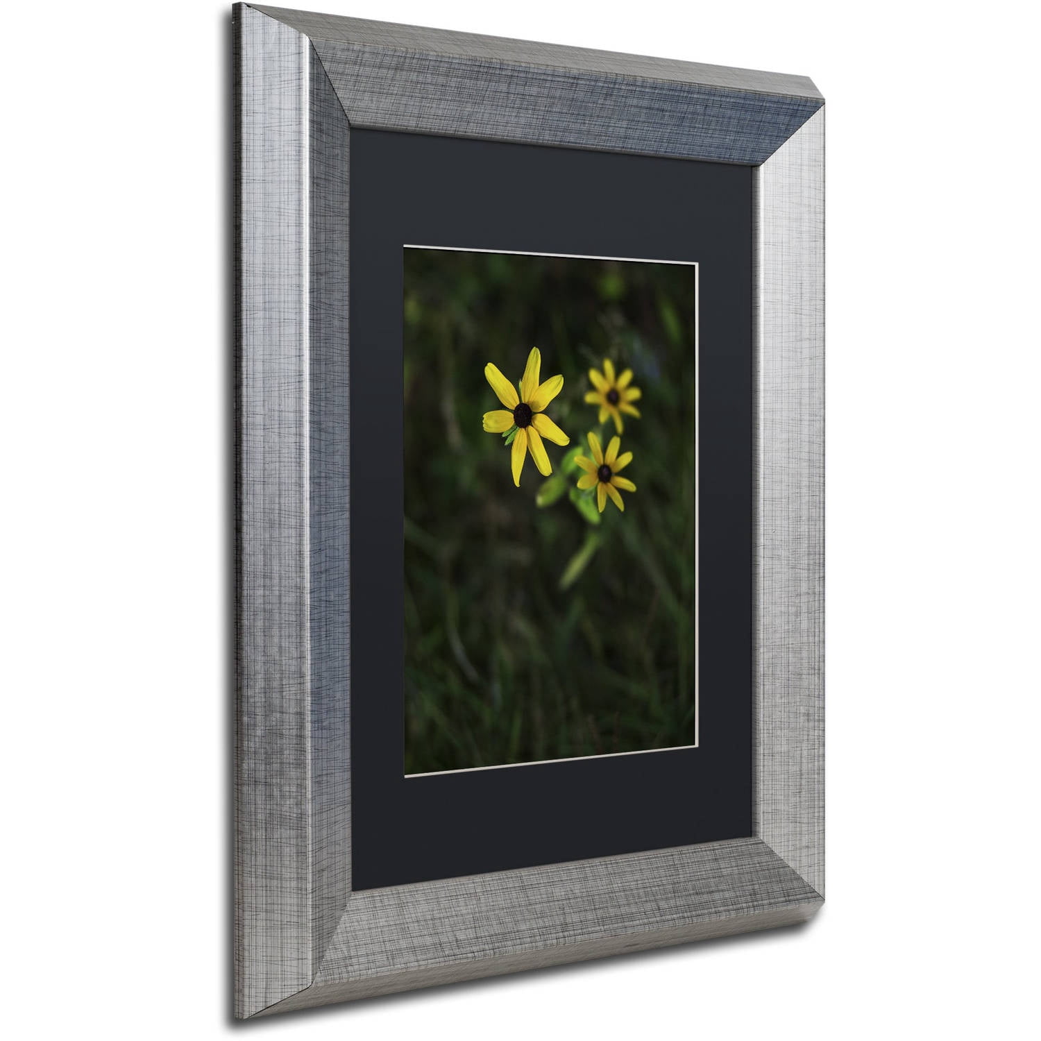 Trademark Fine Art "Brown-Eyed Susan" Canvas Art by Kurt Shaffer, Black Matte, Silver Frame