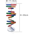 thumbnail image 2 of DNA Models Double Helix Model Components, Science Educational Teaching Instrument Toy, 2 of 4
