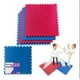 thumbnail image 1 of TATAMI PISO TAPETE DE GIMNASIO BICOLOR 1M2 INMATMEX, 1 of 9