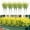 Yellow, variant on TFYZYY Artificial Lavender Plants 10 Pack Outdoor Indoor Decor Plastic Flowers for Home Weddings Gardens Porches Terraces Greening
