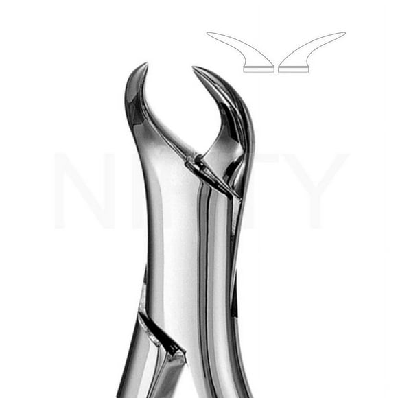 Extraction de Forcep Pattern Anglais Pedo Upper &amp; Lower 16S