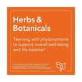 thumbnail image 3 of NOW FOODS DOPA MUCUNA APOYO CEREBRAL 180VCAPS, 3 of 6