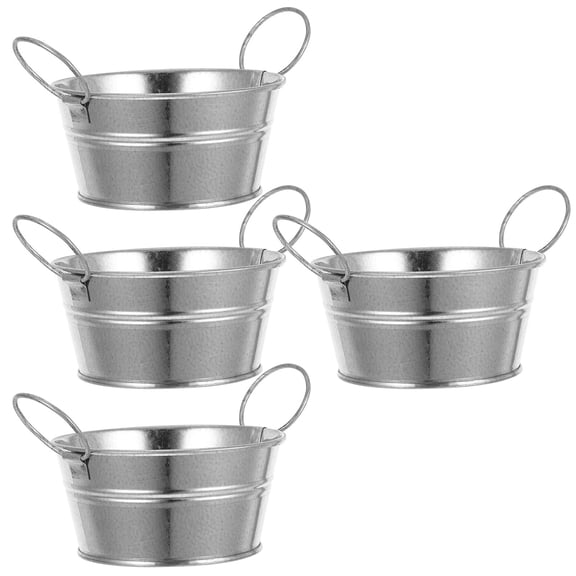 Luxshiny Set of 4 Small Metal Pails for Crafting, Projects, Decorative Storage and Home Decor
