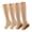 2 Pair Beige Mix, variant on 1/2/3/5 Pairs 20-30mmhg Compression Socks with Zipper for Men & Women Open Toe Knee High Sports Clothing Stocking Athletic Socks