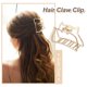 thumbnail image 2 of 2.7 Inch Metal Hair Claw Clips Hair Barrettes for Fashion Accessories for Women Beauty, 2 of 9