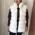 thumbnail image 1 of Chaleco de piel sintética con cuello alto para mujer, abrigo de imitación de zorro artificial, moda de otoño e invierno, novedad de 2023, 1 of 5