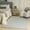 Silver, variant on Nourison Soft Plush Rabbit Fur 5' x 7' Beige Contemporary Indoor Rug