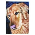 thumbnail image 1 of Carolines Treasures 7384CHF Golden Retriver Huh Flag Canvas House Size, 1 of 4