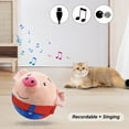 thumbnail image 5 of Usb Rechargeable Dog Plush Toy Singing Talking Bouncing Jump Ball Pet Essential (Red Pig), 5 of 10