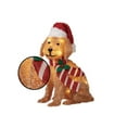 thumbnail image 3 of Golden lumineux Holiday Time de 24 po avec 30 DEL blanc chaud, 3 of 4